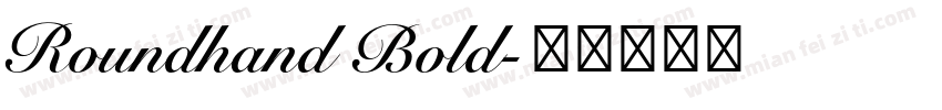 Roundhand Bold字体转换